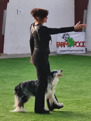 Contact - makers - Marjan Oostmeijer - Dansen met hond Noa